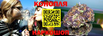 МДПВ Гатчина