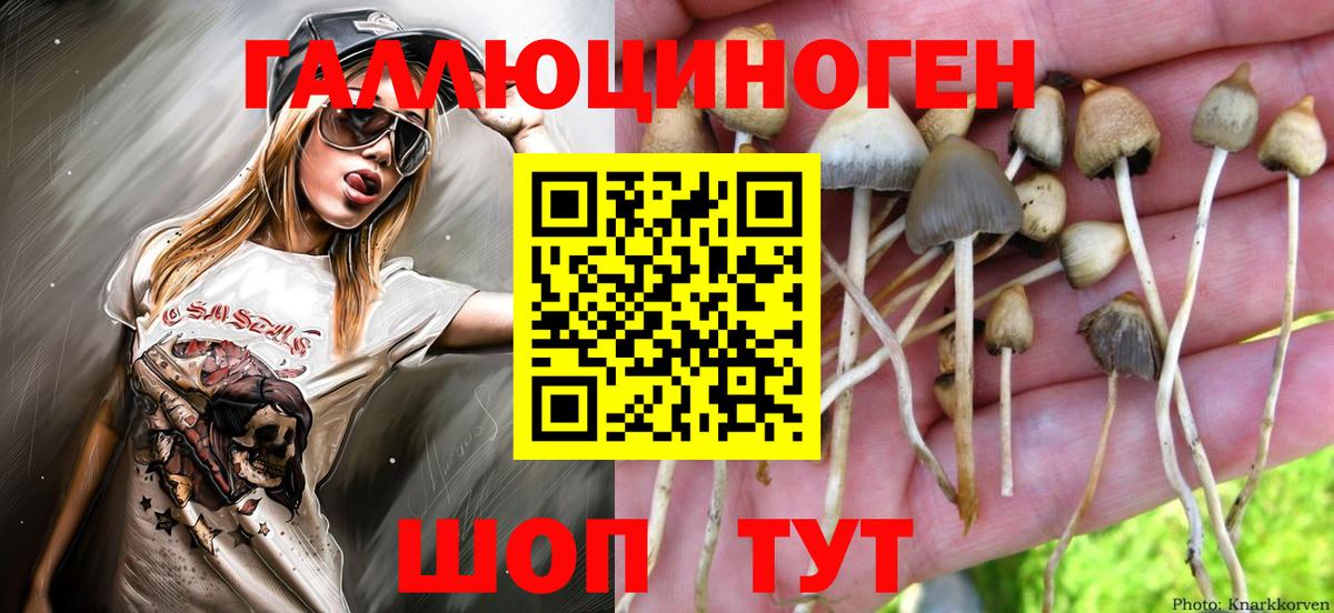Галлюциногенные грибы прущие грибы Воткинск